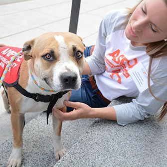 Adoptable Pets Mingle with California Lawmakers at ASPCA’s Annual Paws for Celebration!
