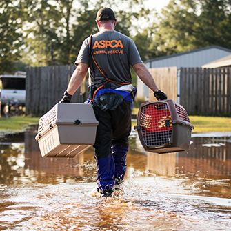 ASPCA responder carrying pet carriers