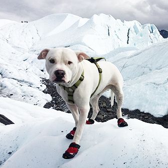 Buddy hiking