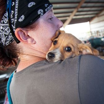 a vounteer carrying a rescued dog