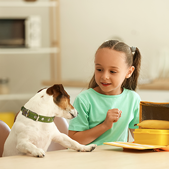 A girl sitting at a table with a white and brown dog looking at her yellow lunch box