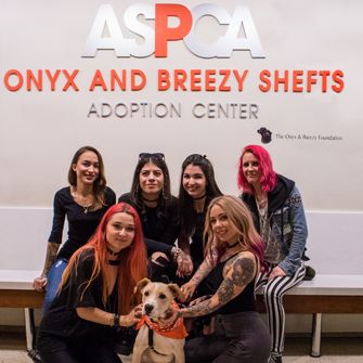 Megan Massacre and Grits n Glory at the ASPCA