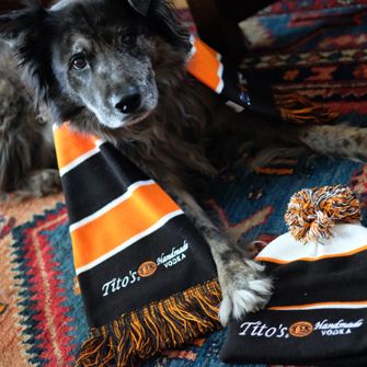 a dog with a Tito's vodka scarf and hat