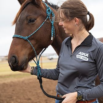 a woman with a small ponytail and a grey ASPCA branded shirt holding the face of a brown horse