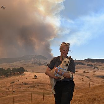 responder rescuing a dog from a wildfire