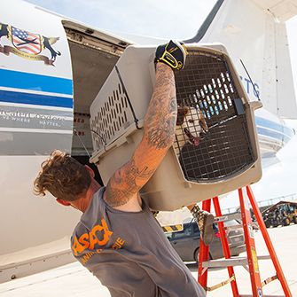 ASPCA Responder loading a rescued dog on a WOR plane