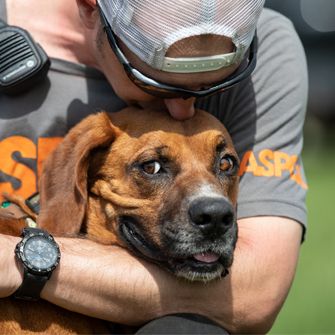 Man cradling dog