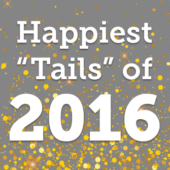 Happy Tails Wrap Up 2016