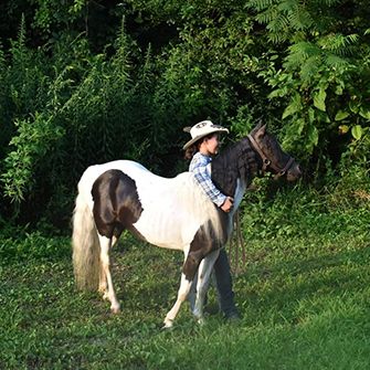 girl and horse