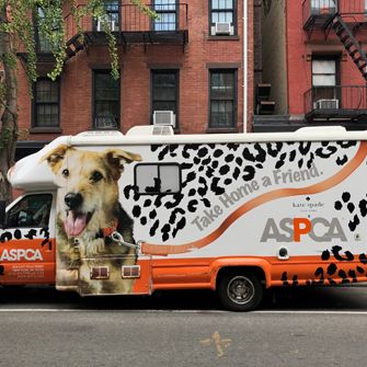 leopard print mobile adoption van