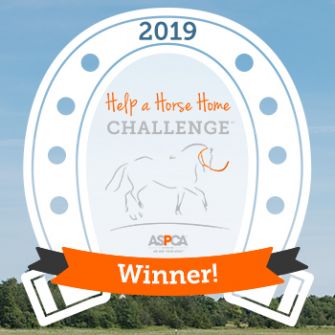 Help a horse home