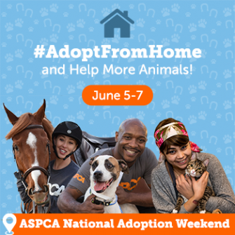 National Adoption Weekend