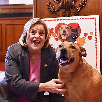 Partisan Politics Put Aside for Puppies at Paws for Love