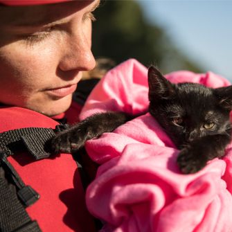 Rescuer and cat