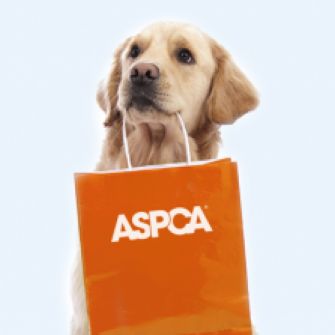 Tan dog holding orange ASPCA shopping bag