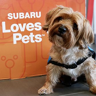 aspca subaru vip