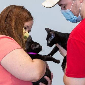 Our Nationwide Initiative Helps Vulnerable Animals in a Pandemic