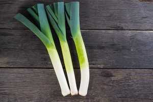 are leeks bad for dogs